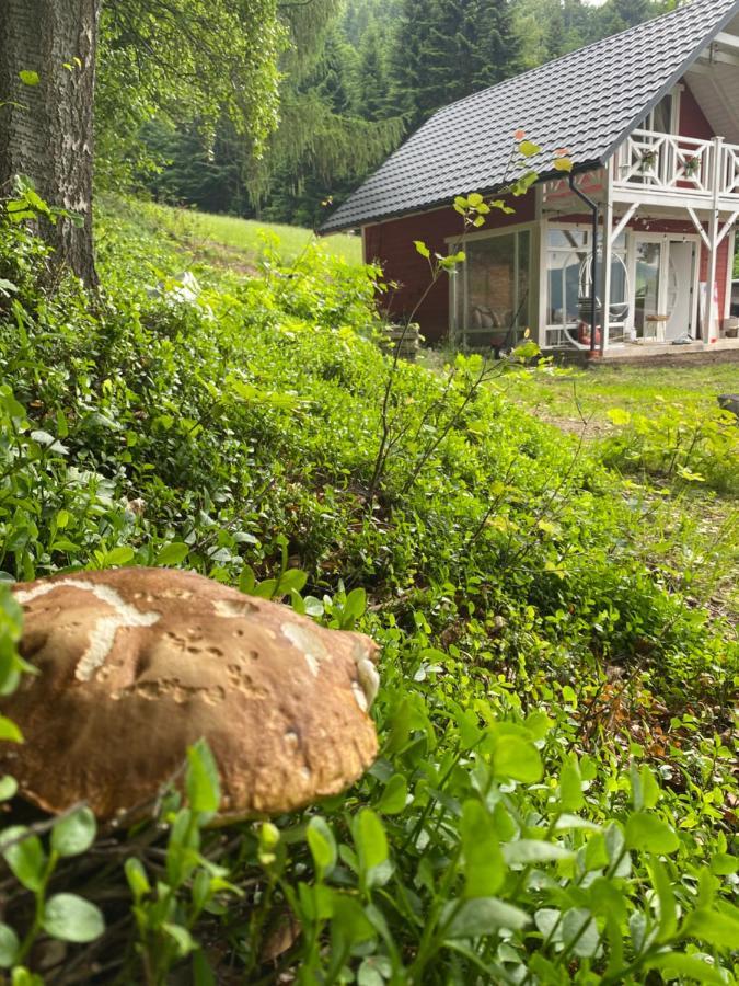 Forest House Targanice Экстерьер фото