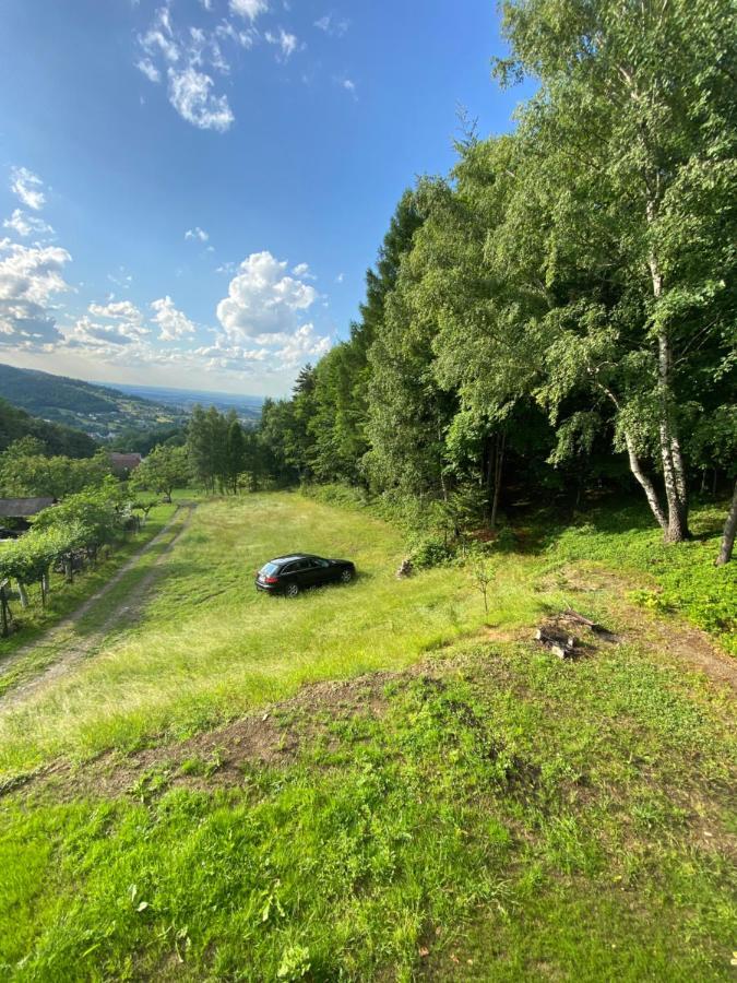 Forest House Targanice Экстерьер фото