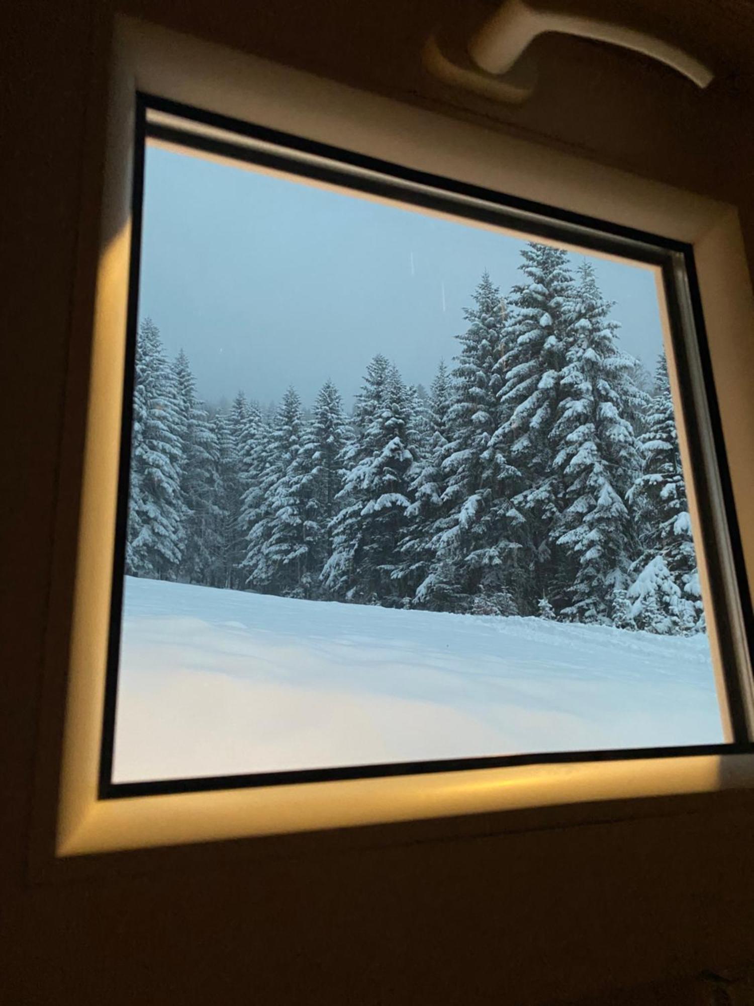 Forest House Targanice Экстерьер фото