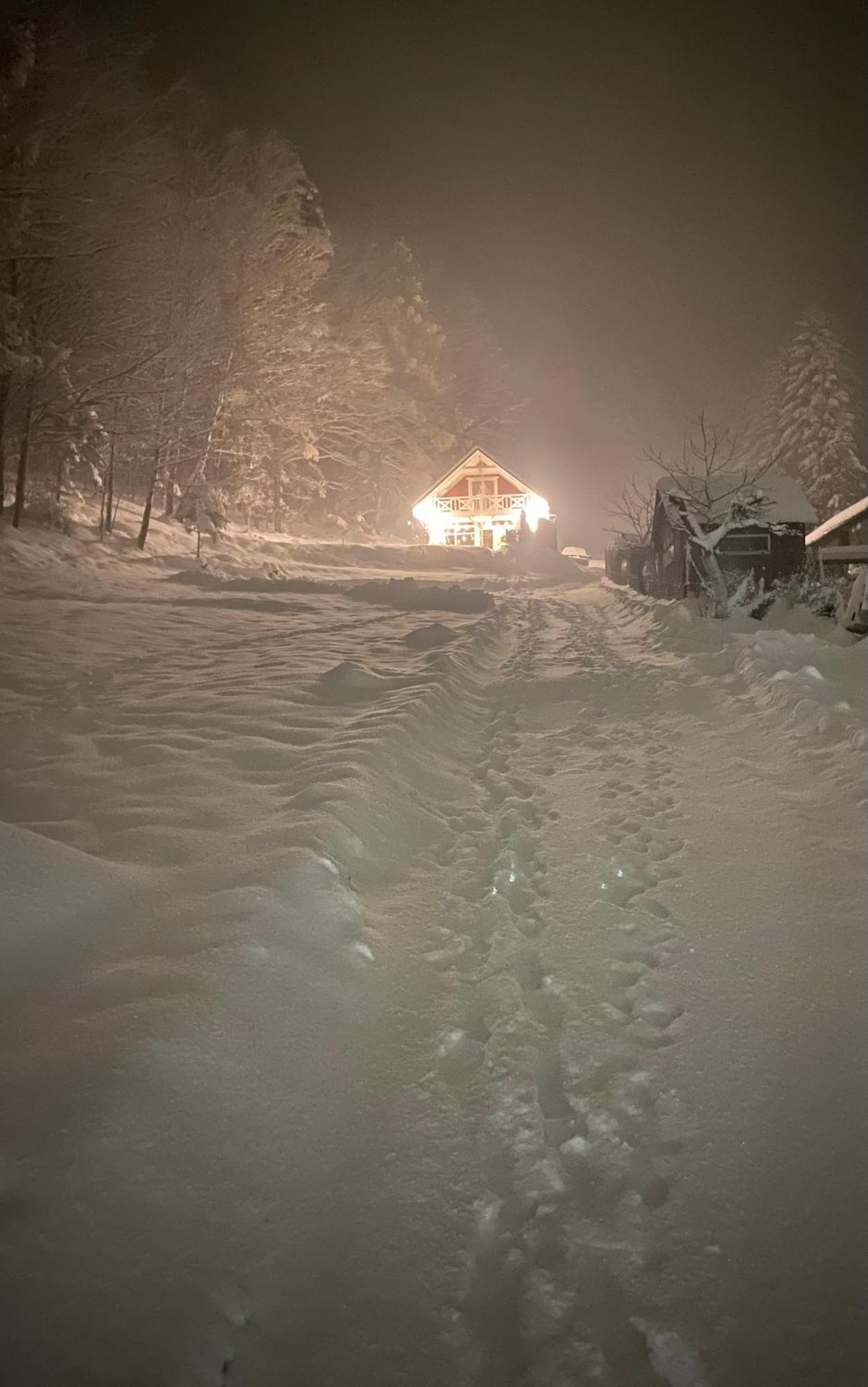 Forest House Targanice Экстерьер фото